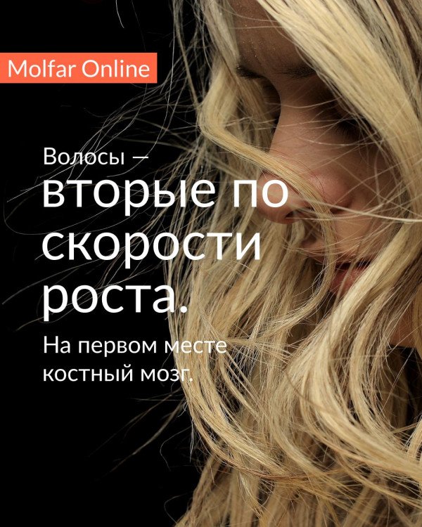 Интересный факт